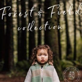 Forest & Field Preset Collection – Desktop & Mobile Free Downloa