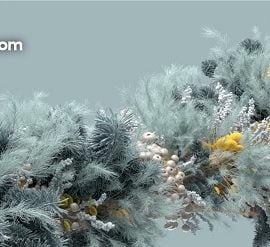 Helloluxx Learn Houdini In Bloom Free Download