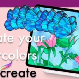 How to animate your watercolors for social media in procreate