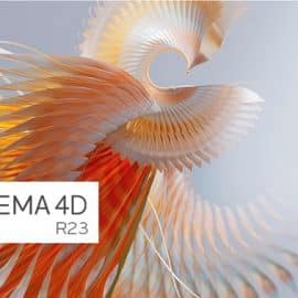 Maxon Cinema 4D R25 Win/Mac Free Download