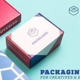 Packaging Design for Creatives & Entrepreneurs