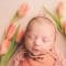 Twig & Olive Photography – Newborn – Swaddle Wrap to Bucket Pose