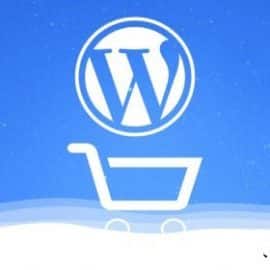 WordPress eCommerce For Beginners Free Download