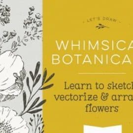 Botanical Drawing: Learn to Sketch Flowers, and Arrange in Adobe Illustrator