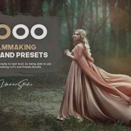 2000 Filmmaking Presets and LUTs Bundle [NEW]