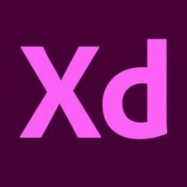 Adobe XD 2021 Basics Free Download