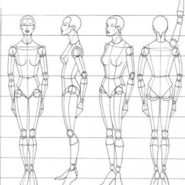 Coloso – Introduction to human body figure drawing