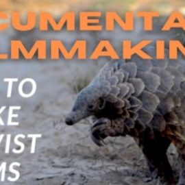 Documentary Filmmaking – Activist Films Change Minds