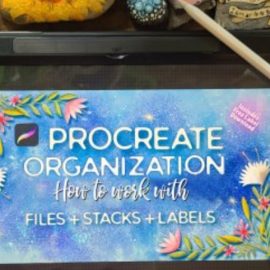 Procreate Organization For Beginners: Working with Files, Stacks, and Labels