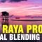 Raya Pro 6.0 Suite – Luminosity Masking Panel Free Download