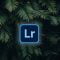 Adobe Lightroom CC Course: The only course you ever need!