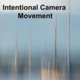 Intentional Camera Movement: Ceate Organic, Dynamic, Painterly images anywhere, anytime.