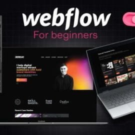 Webflow for beginners Design your portfolio site Free Download