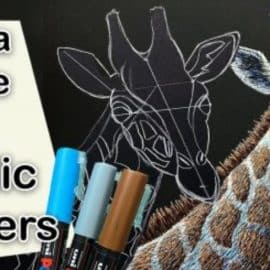 Acrylic Marker Giraffe Drawing – How to draw an animal with Paint Pens