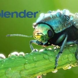 Best Blender Course from the Ground UP (Disproportionate Value from an actual Practitioner)