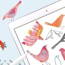 Develop a Daily Sketchbook Habit: 10 Days of Birds in Procreate