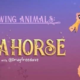 Drawing Animals: The Basics of Character Design 2 | Seahorse