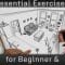 Essential Exercises for Beginner and Intermediate Artists