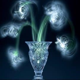 Photigy – Glass Crystal Vase Photography Workshop