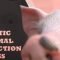 Photo-realistic CG Animal Production Process