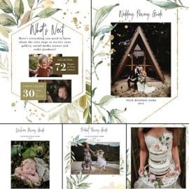 Twig & Olive Photography – Geometric Serenity Marketing set