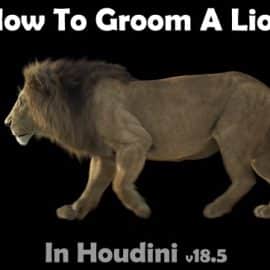 CGCircuit – Grooming Lion Fur in Houdini Free Download