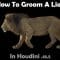 CGCircuit – Grooming Lion Fur in Houdini Free Download