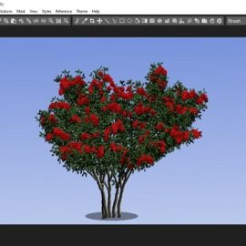 Pixarra TwistedBrush Tree Studio 4.10 Win x64 Free Download