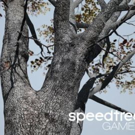 SpeedTree Games 9 Enterprise Win x64 Free Download