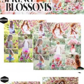 13 Spring Blossoms Video LUTs Presets Free Download