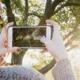 CreativeLive – How To Take Amazing Photos With Your iPhone