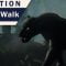 Creature Animation. Animate a realistic Panther walk. Includes polishing!