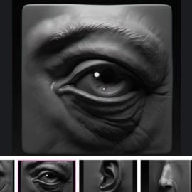 FlippedNormals Sculpting the Facial Features in Zbrush Free Download