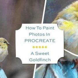 How To Paint Photos In Procreate: A Sweet Goldfinch