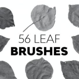 Leaf Brushes Free Download