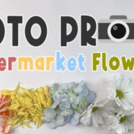 Photo Props: Supermarket Flowers 6 Ways to Enhance Your Artwork