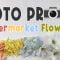 Photo Props: Supermarket Flowers 6 Ways to Enhance Your Artwork