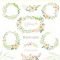 Blush Floral Collection Free Download