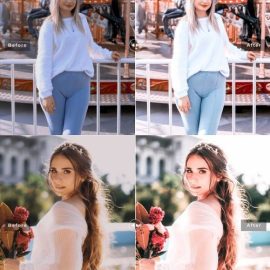 CreativeMarket Alstroemeria Pro Lightroom Presets 7170385 Free Download