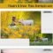 CreativeMarket Flowers and Grass Overlays 6120187 Free Download