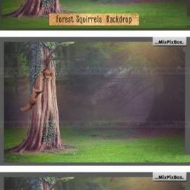 CreativeMarket Forest Squirrels Backdrop 6120189 Free Download