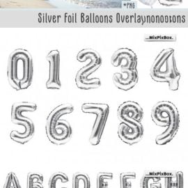 CreativeMarket Silver Foil Balloons Photo Overlays 5814687 Free Download