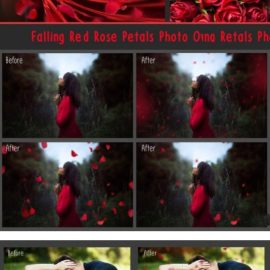 Falling Rose Petals Photo Overlays Free Download