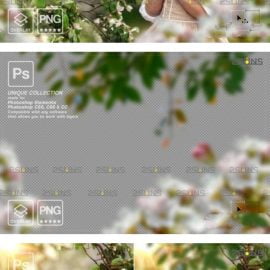 Flower overlay Photoshop overlay Flower overlays Free Download