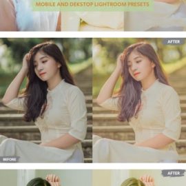 Gold Shades Lightroom Presets Dekstop and Mobile Free Download