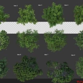 High angle camera trees and shrubs psd Free Download