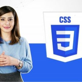 Master CSS Bootcamp 2022 with Animations Transitions Flex Free Download