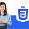 Master CSS Bootcamp 2022 with Animations Transitions Flex Free Download