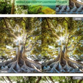 Matte Cinematic Lightroom Presets Dekstop Mobile Free Download