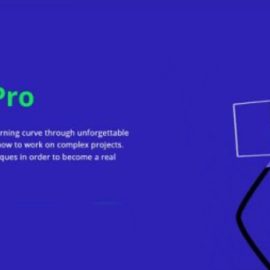 Motion Design School – Motion Pro